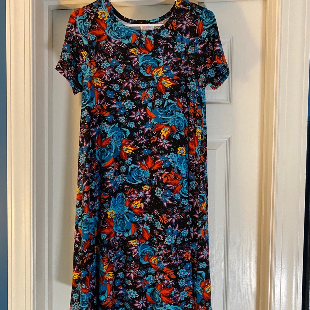 LuLaRoe Blue Rose XXS Carly